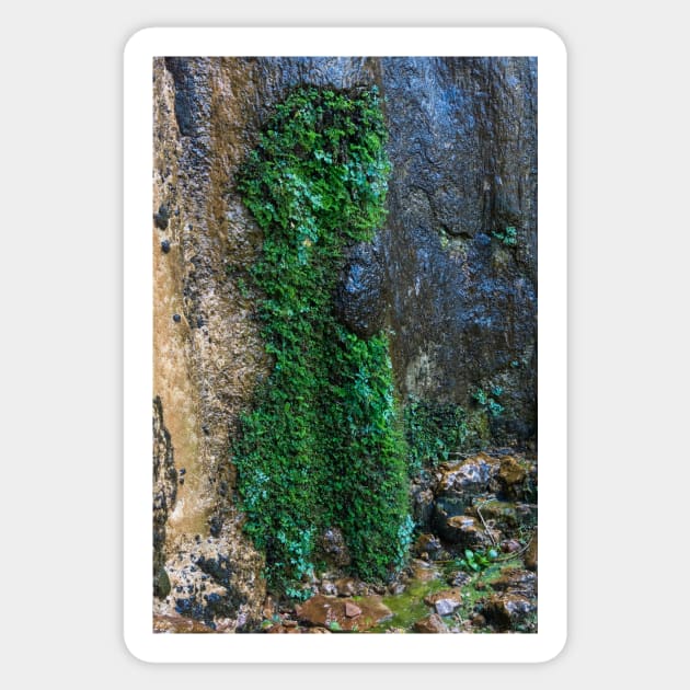 Weeping Rock Topiary - Zion - Utah Sticker by Debra Martz